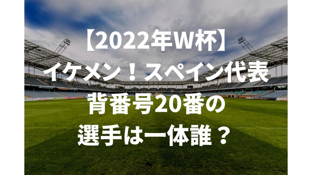 22年w杯 イケメン スペイン代表 背番号番の選手は一体誰 とまとの本棚